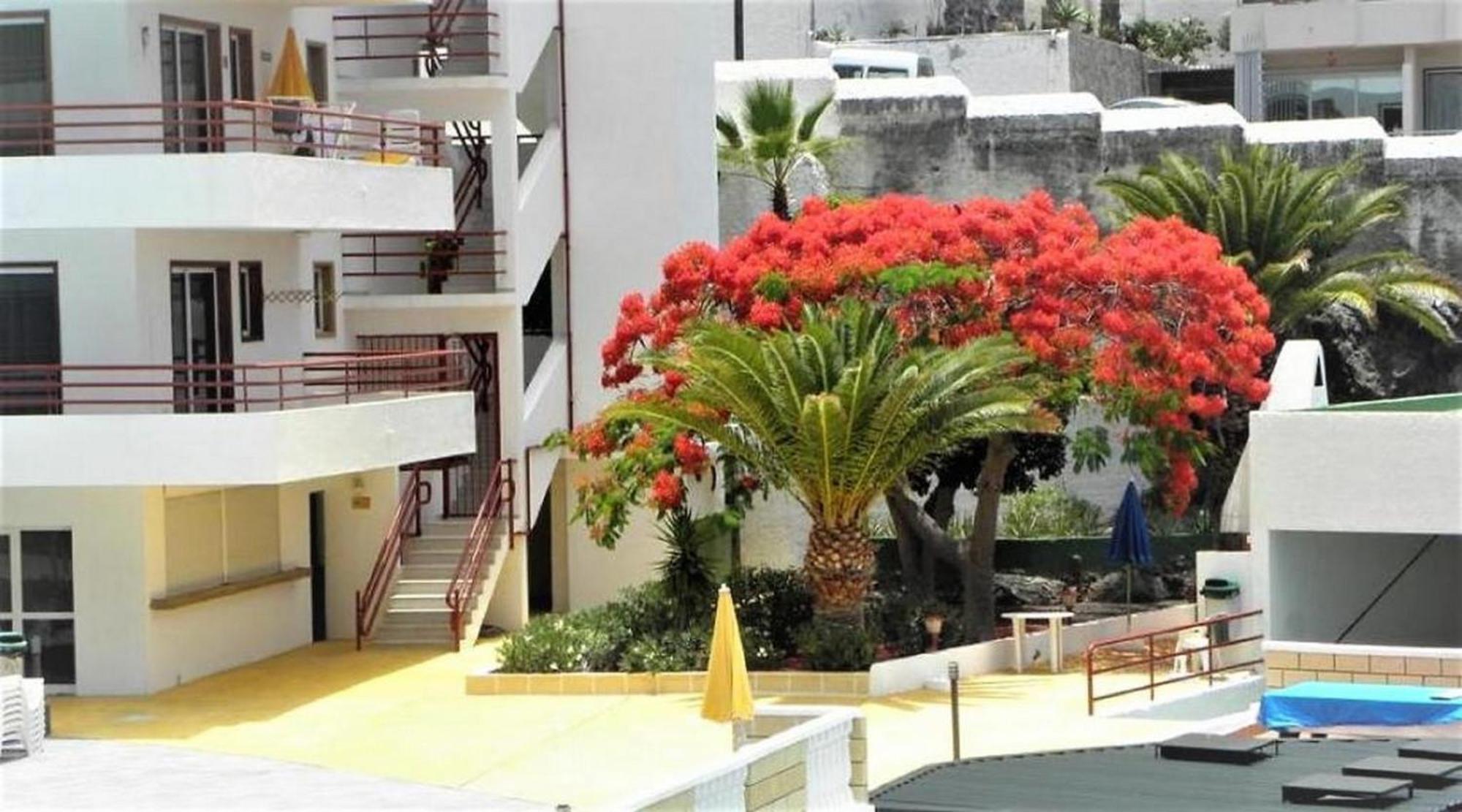Apartamento Sol & Arena Puerto de Santiago  Exterior photo